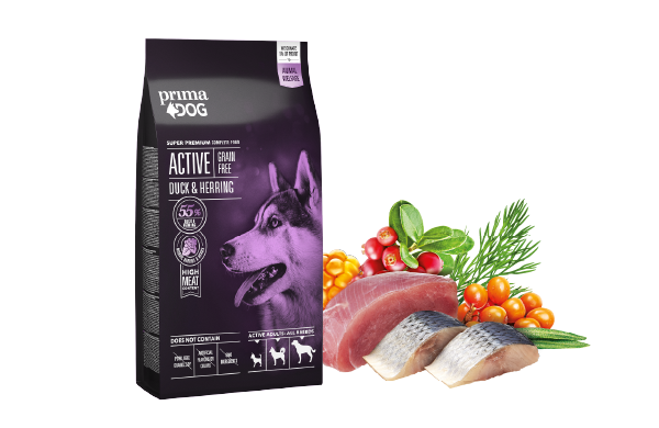 Active grain-free dry food for active dogs