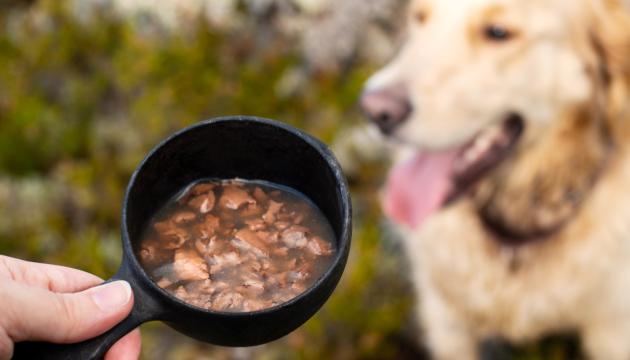 PrimaDog tips för en varied kost till din hund