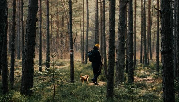 Hund och ägare på promenad i skogen PrimaDog