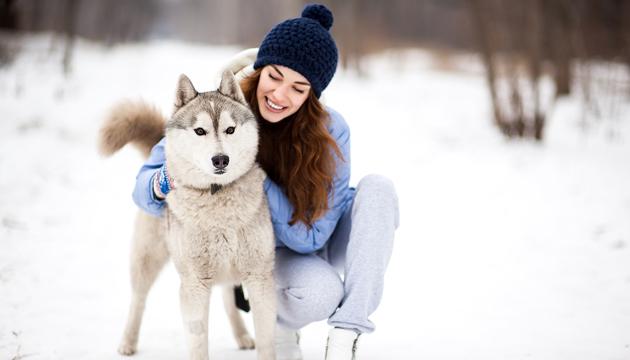 Dog and snow PrimaDog