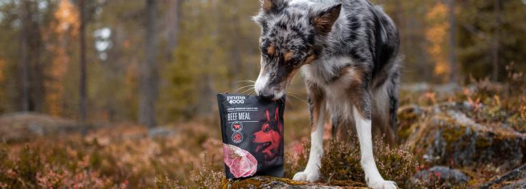PrimaDog diversifying dog food is good for dog's health