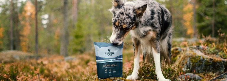 PrimaDog monipuolinen koiranruoka vehnätön annosateria