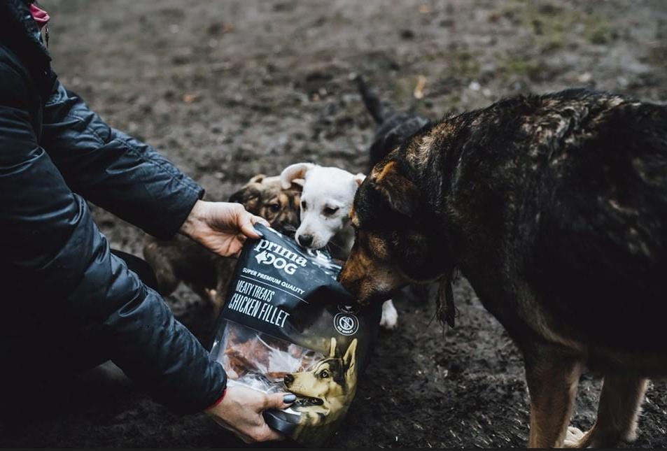 PrimaDog ja Pet Rescue Finland ruokkivat koiria