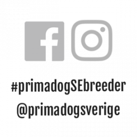 PrimaDog social media SE